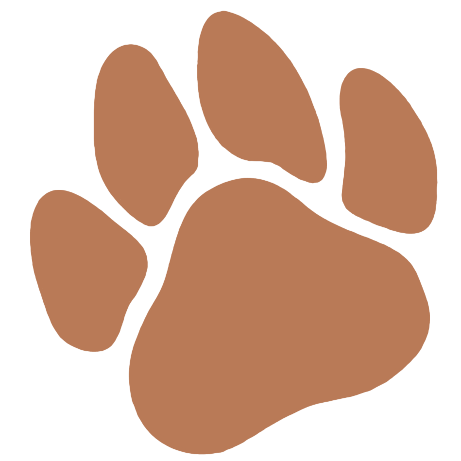 Honden dagopvang Den Haag